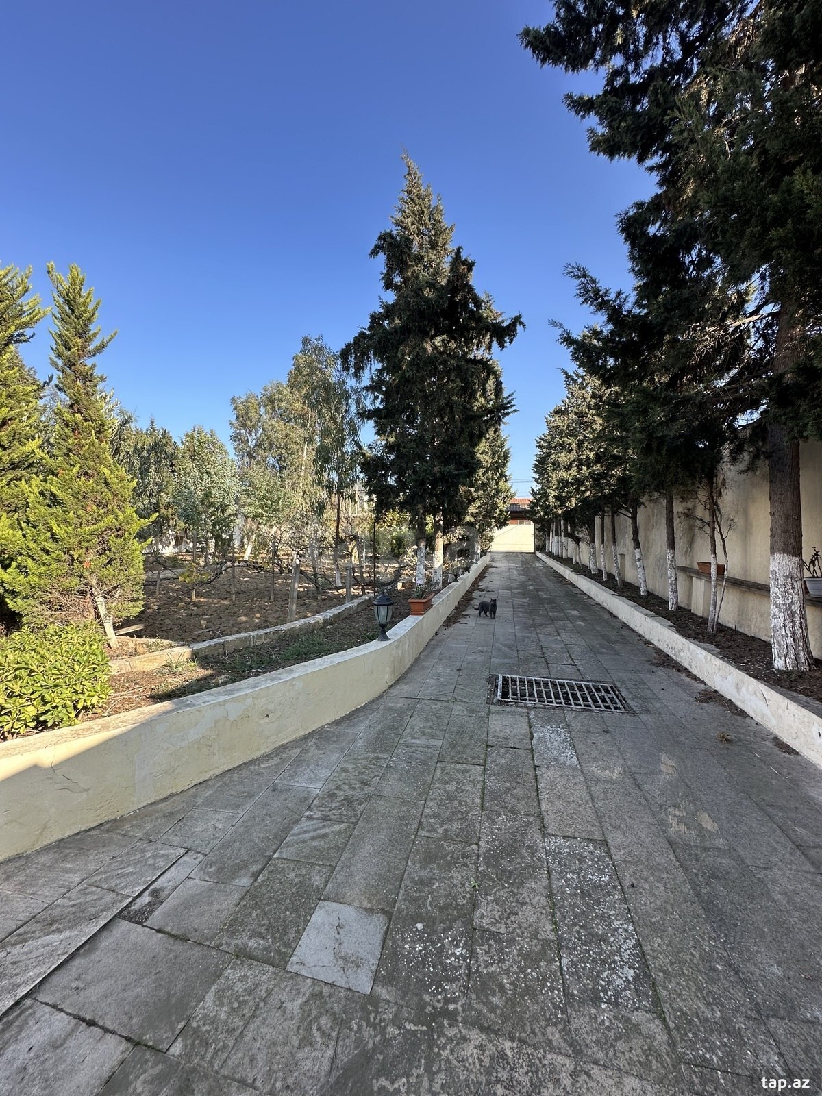 12 sot torpaq sahəsi, Z.Tağıyev küç.