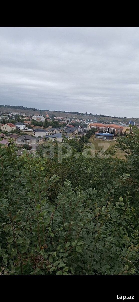 10 sot torpaq sahəsi, Quba ş.