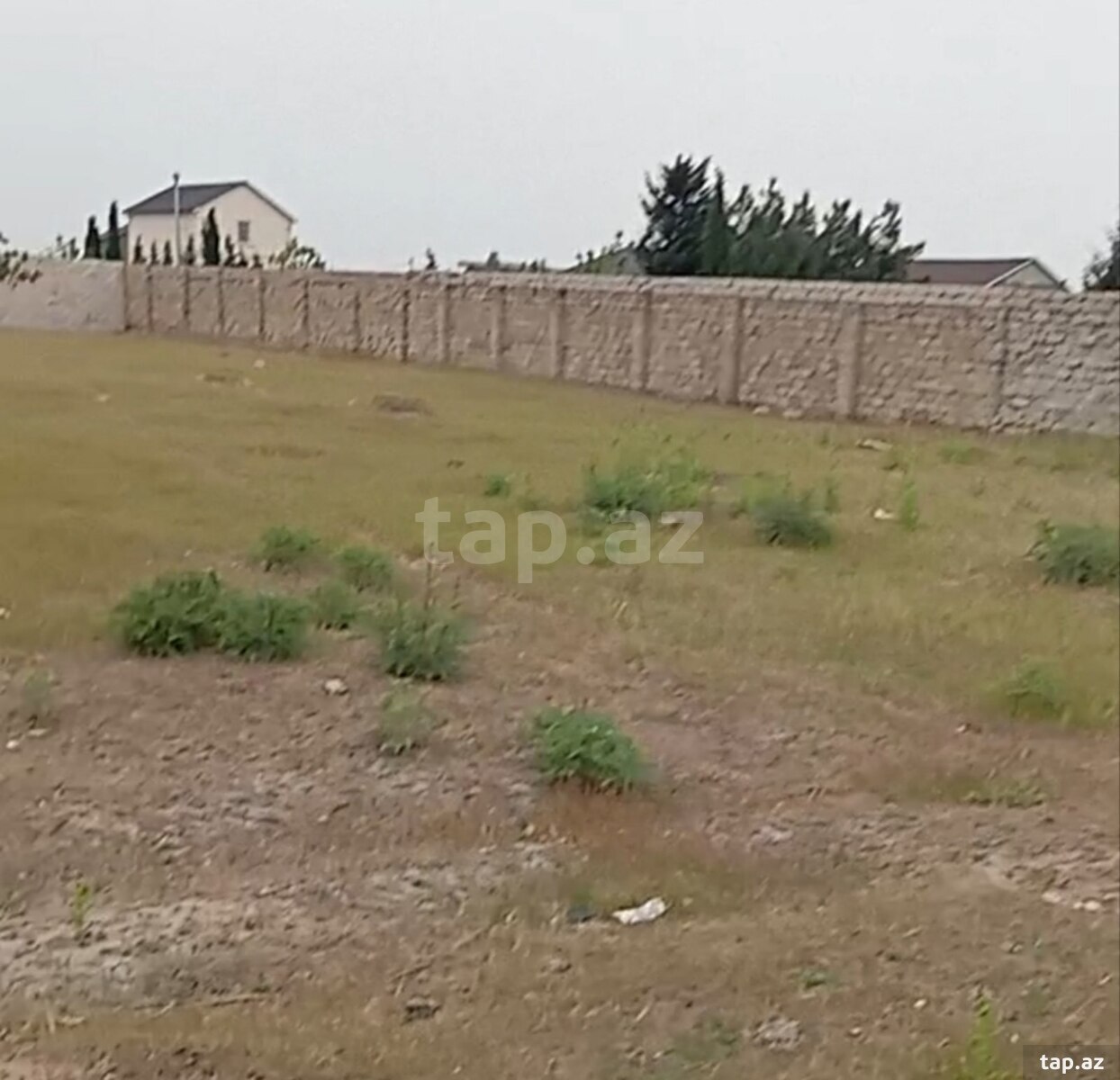 44.2 sot torpaq sahəsi, Albalılıq qəs.