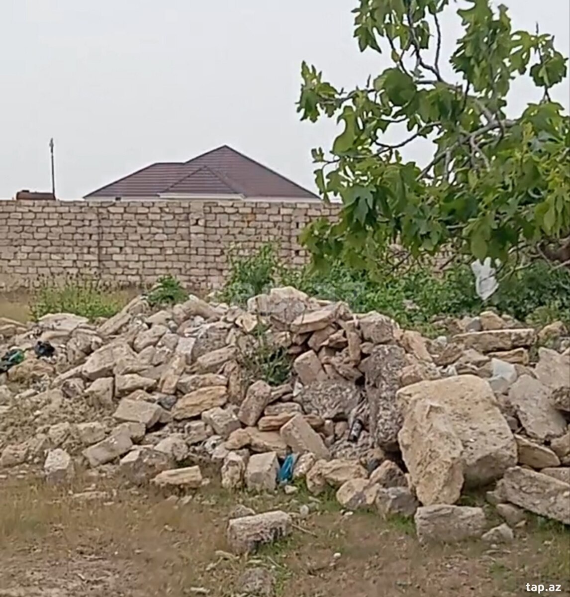 44.2 sot torpaq sahəsi, Albalılıq qəs.