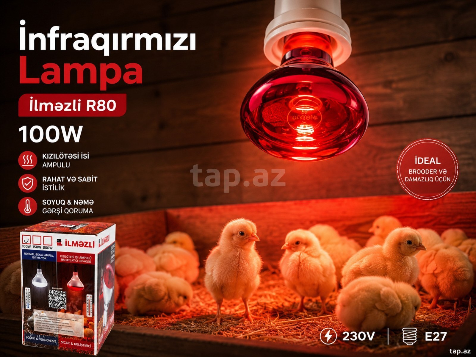 İnfraqırmızı Lampa 100W İlməzli R80