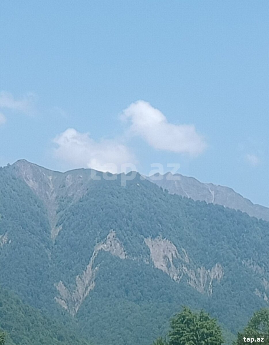 Həyət evi, Oğuz r.