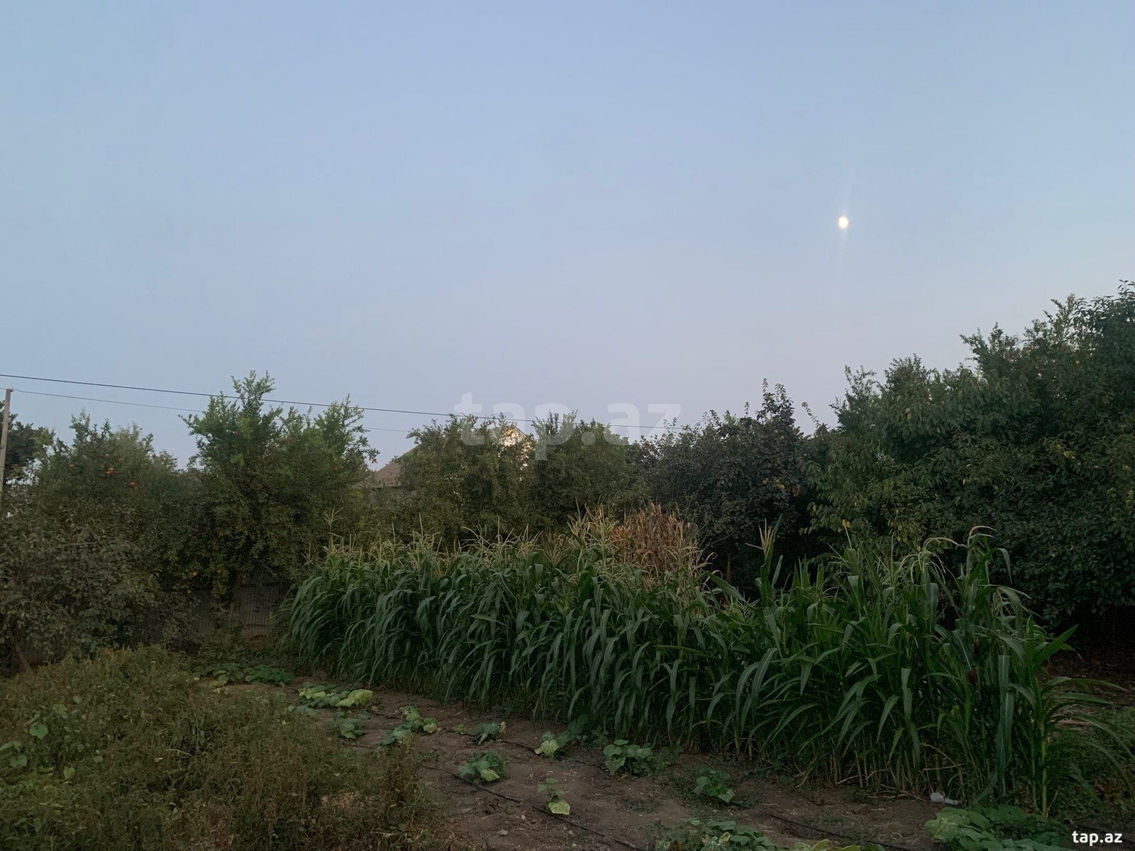 Həyət evi, Cəlilabad r.