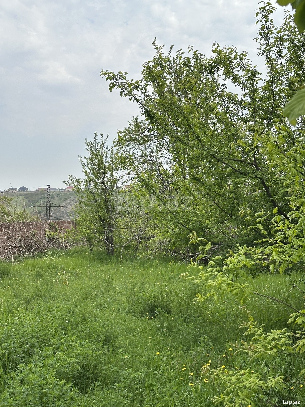 31 sot torpaq sahəsi, Gəncə ş.