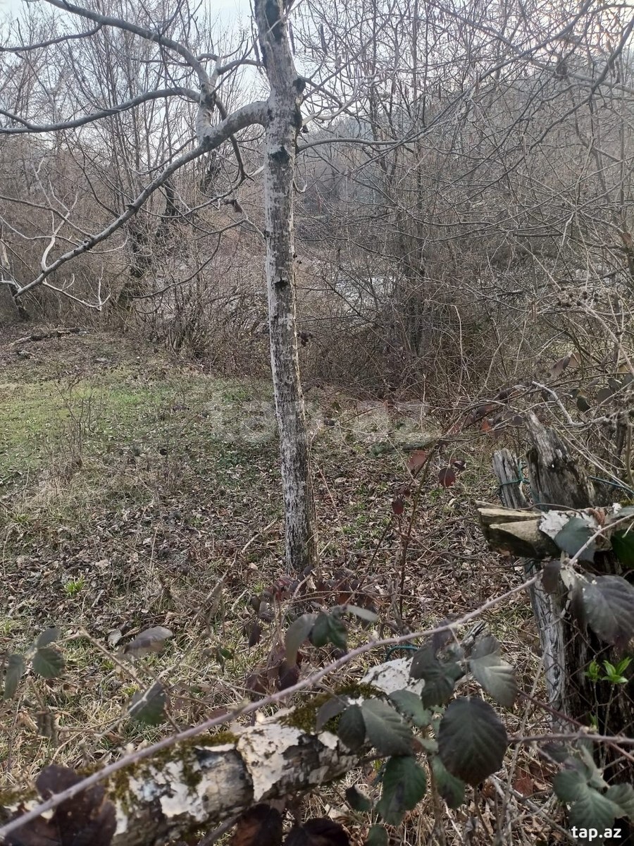 Land for sale, Ismayilli, Ismayilli