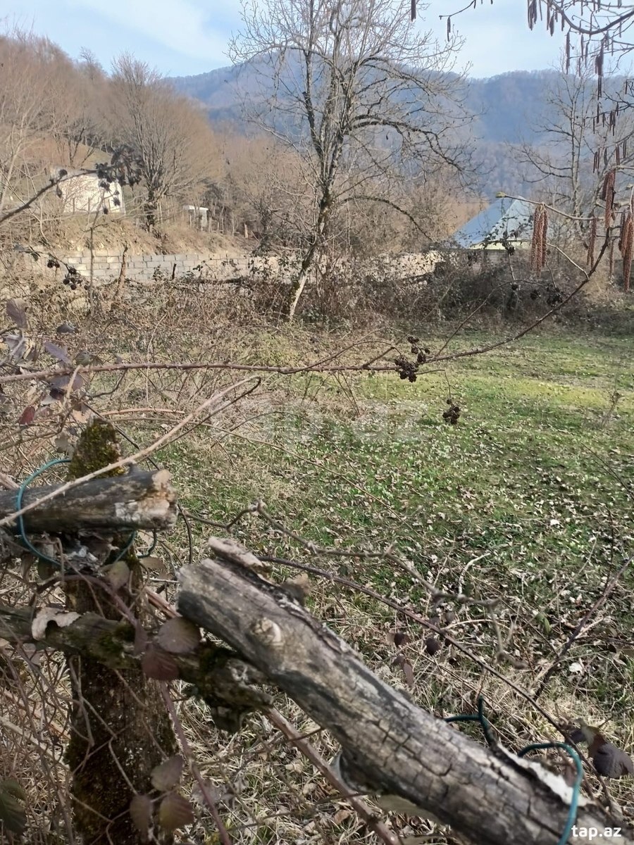 Land for sale, Ismayilli, Ismayilli