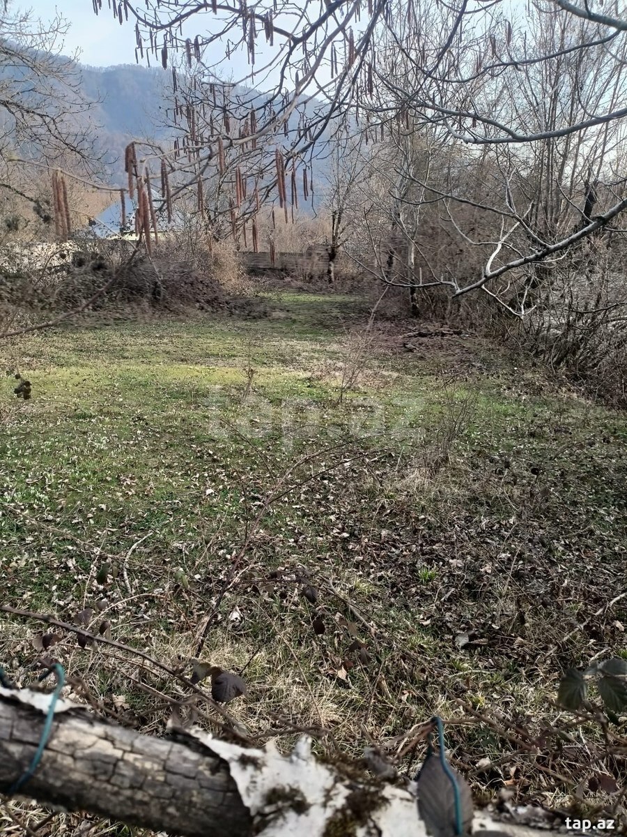 Land for sale, Ismayilli, Ismayilli