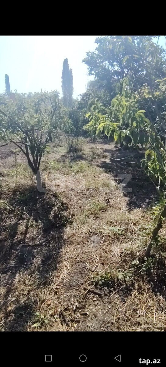 28 sot torpaq sahəsi, Xaçmaz r.