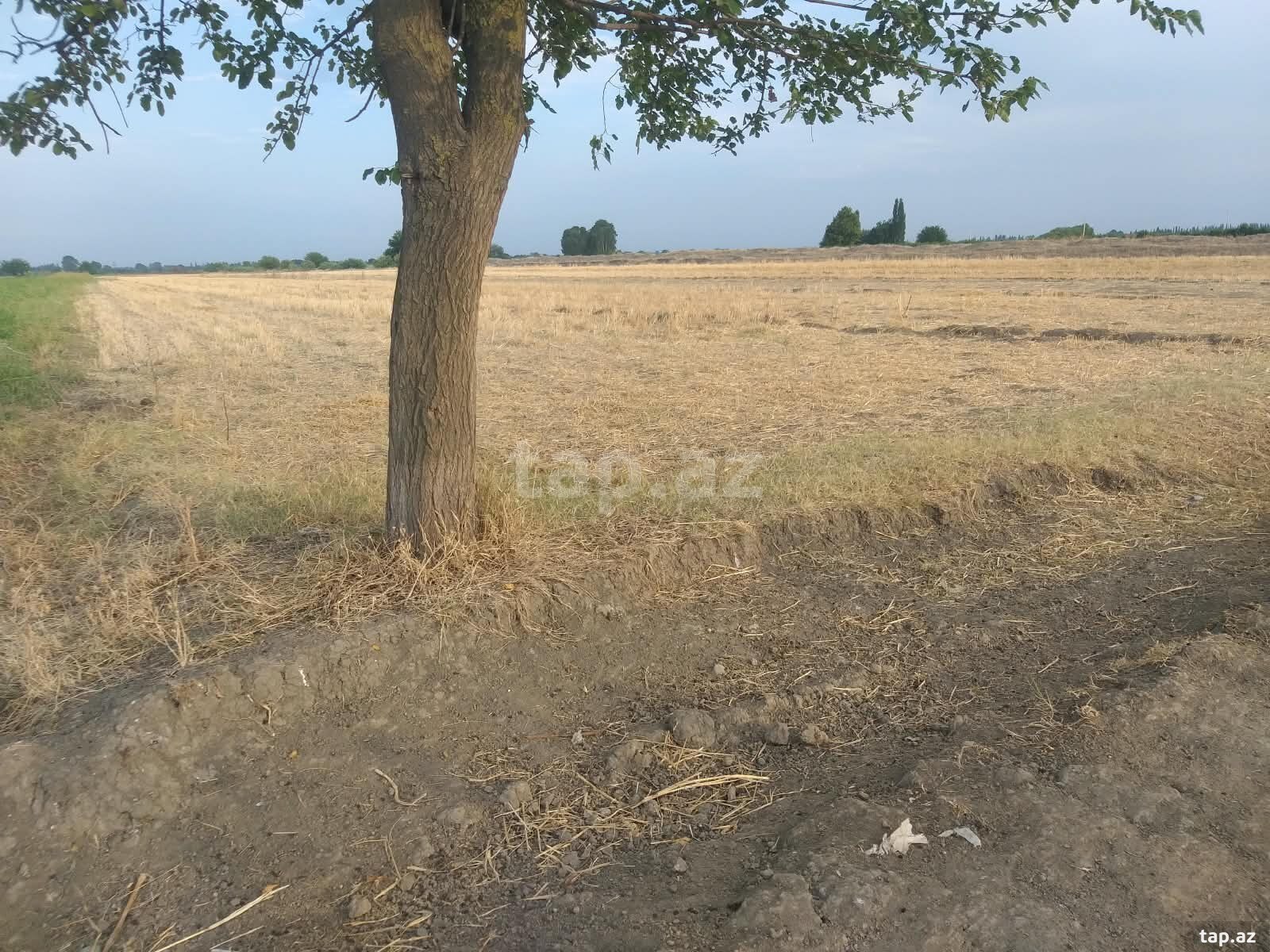 2.30 sot torpaq sahəsi, Tərtər r.