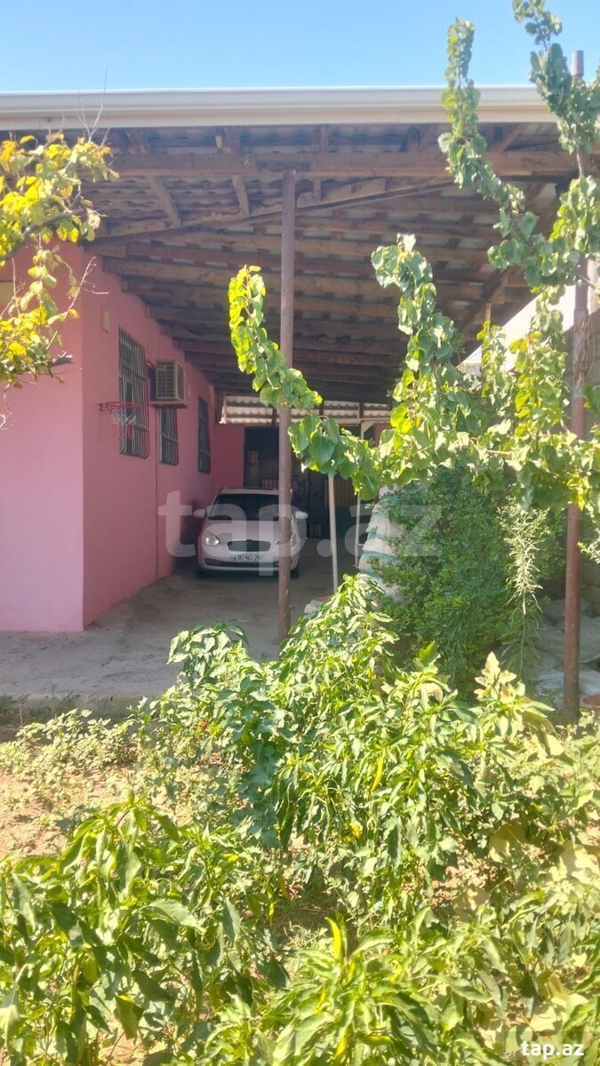 Həyət evi, Yeni Suraxanı qəs.