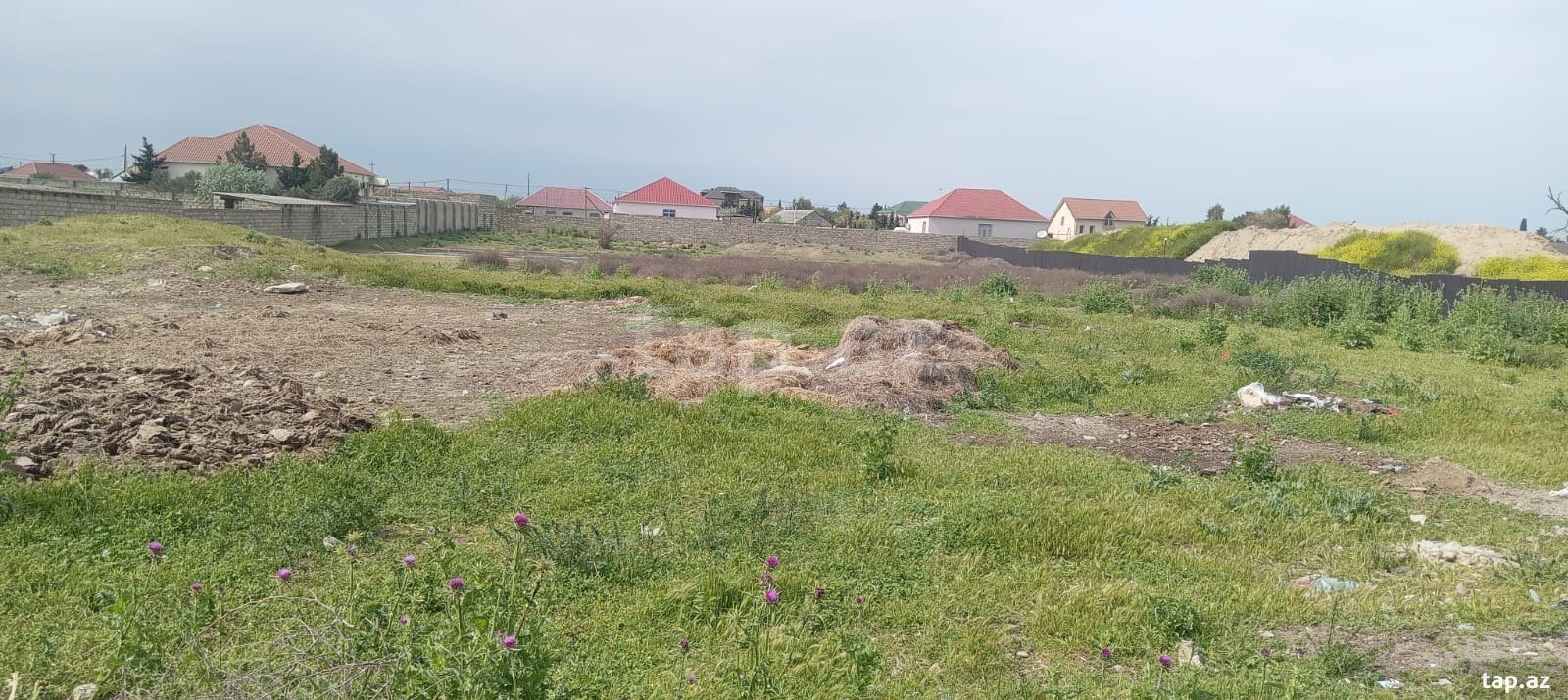 Torpaq satılır, Bakı
