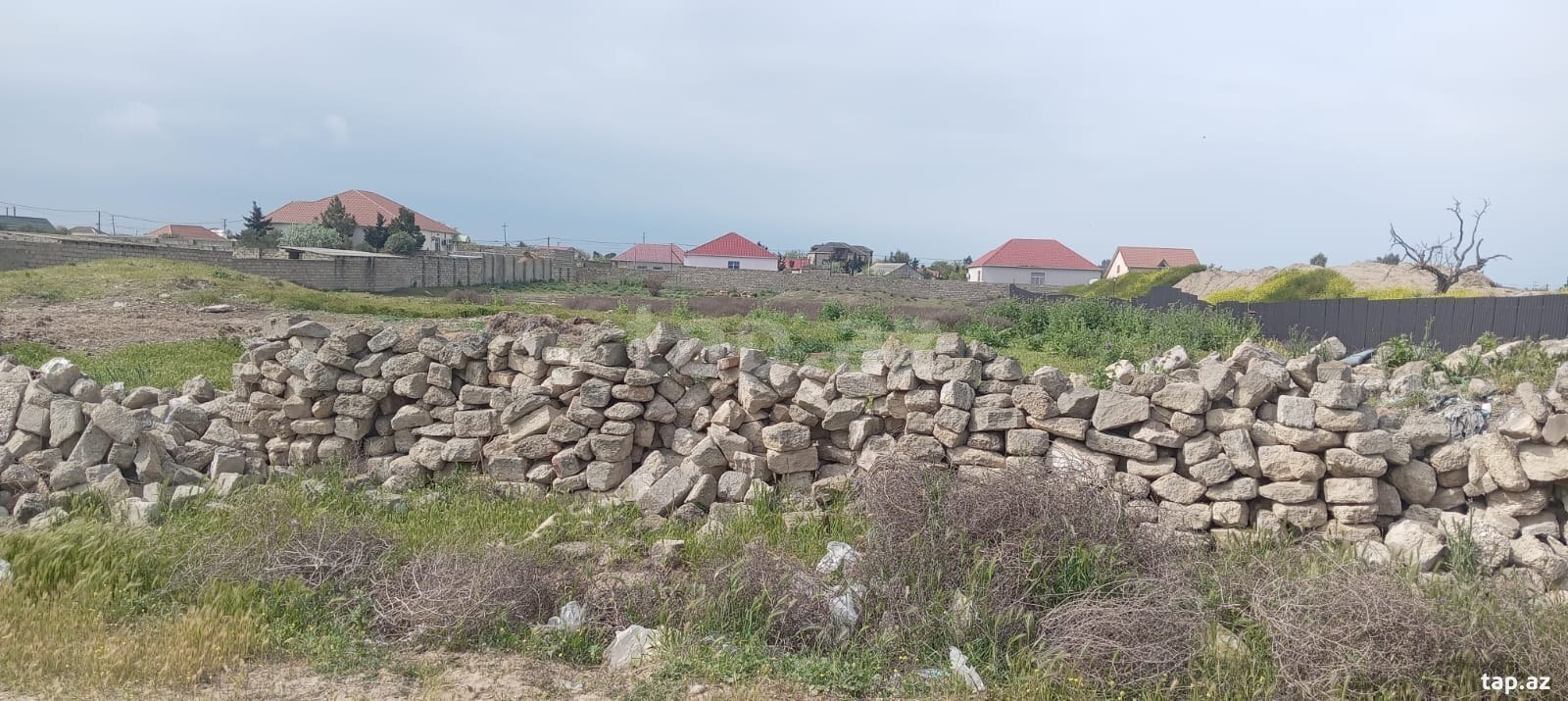 Torpaq satılır, Bakı