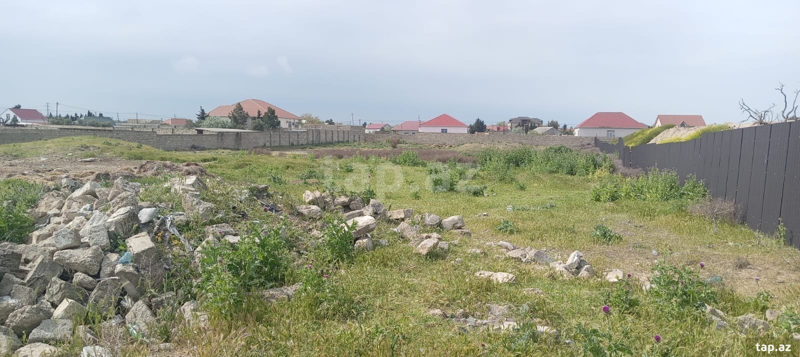 Torpaq satılır, Bakı