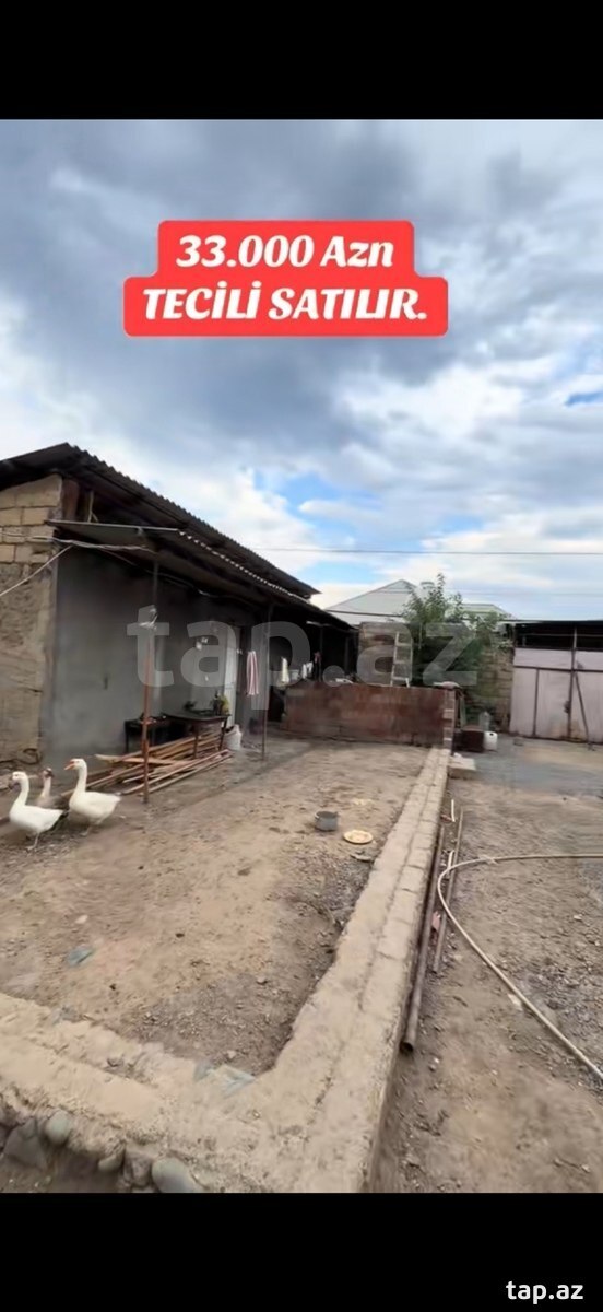 Həyət evi, Gəncə ş.