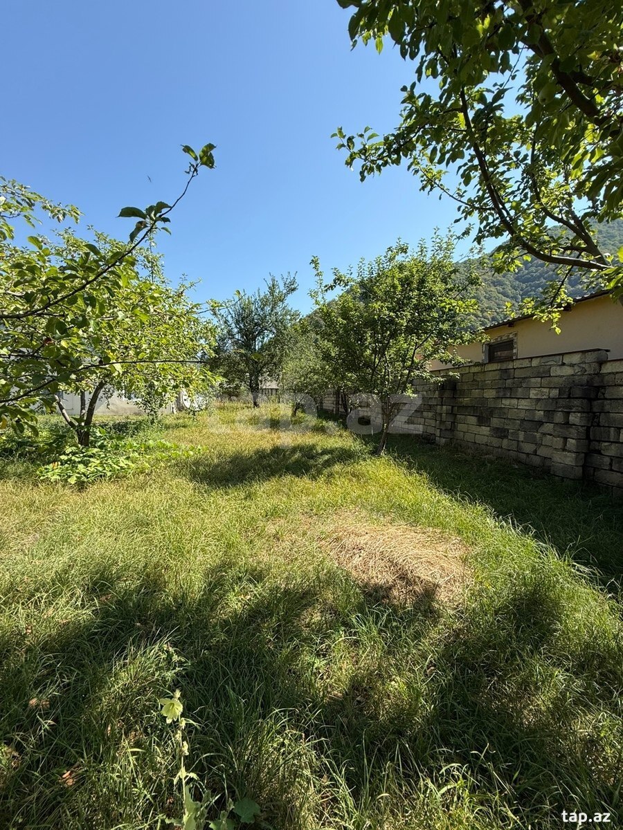 Land for sale, Ismayilli, Ismayilli