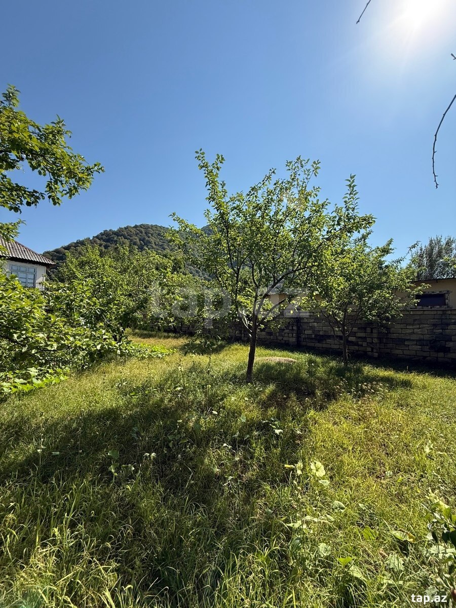 Land for sale, Ismayilli, Ismayilli