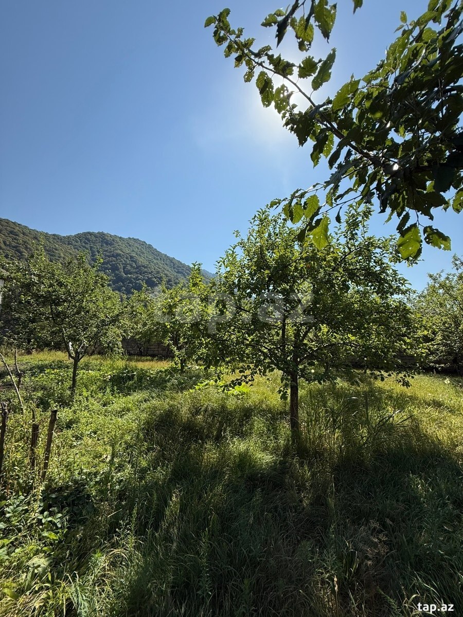 Land for sale, Ismayilli, Ismayilli