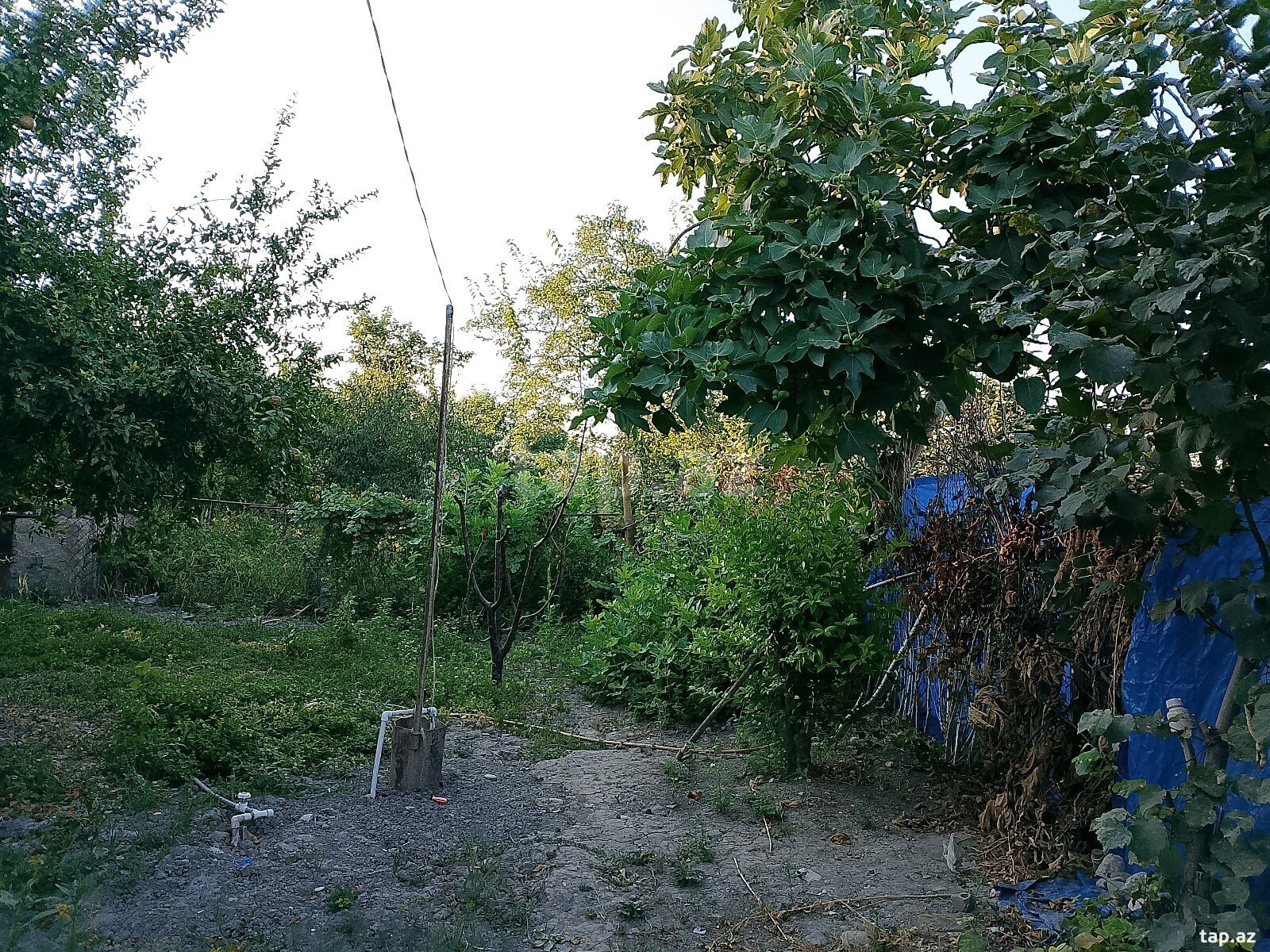 Həyət evi, Xaçmaz r.