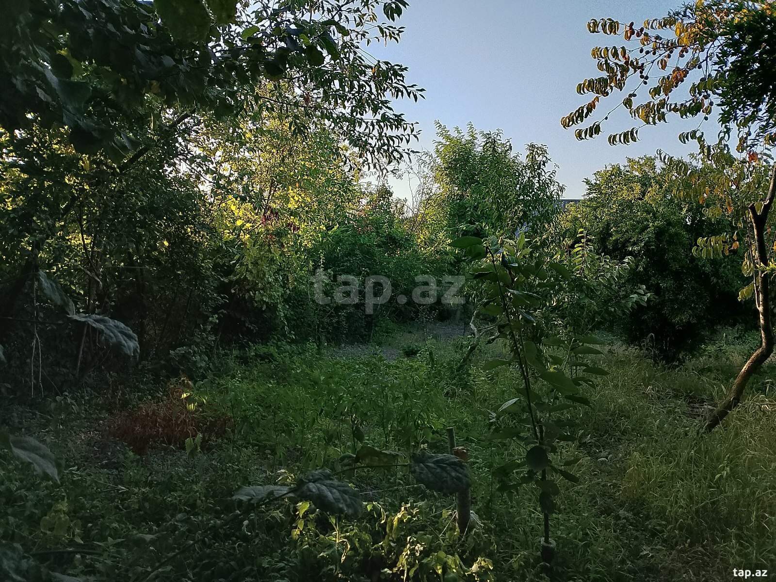 Həyət evi, Xaçmaz r.