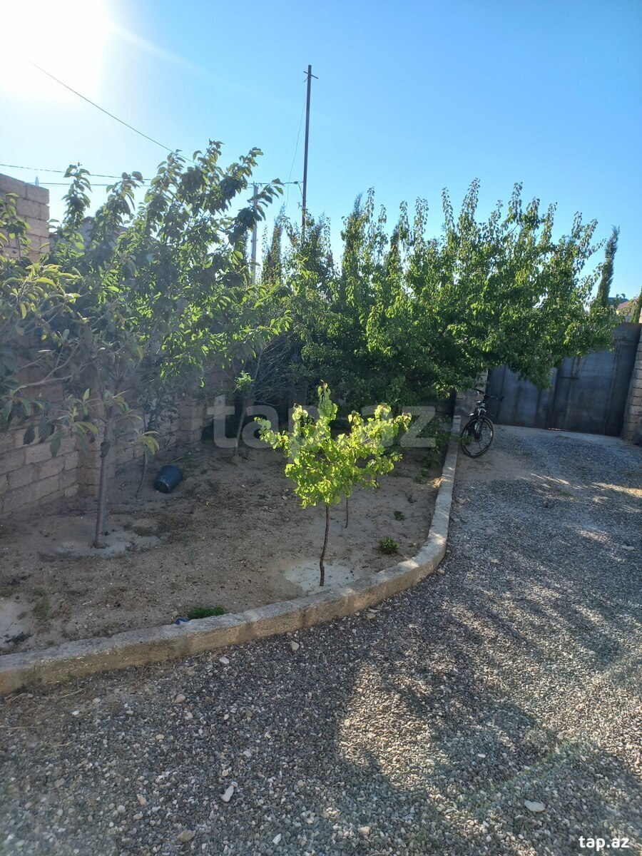 Həyət evi, Qala qəs.