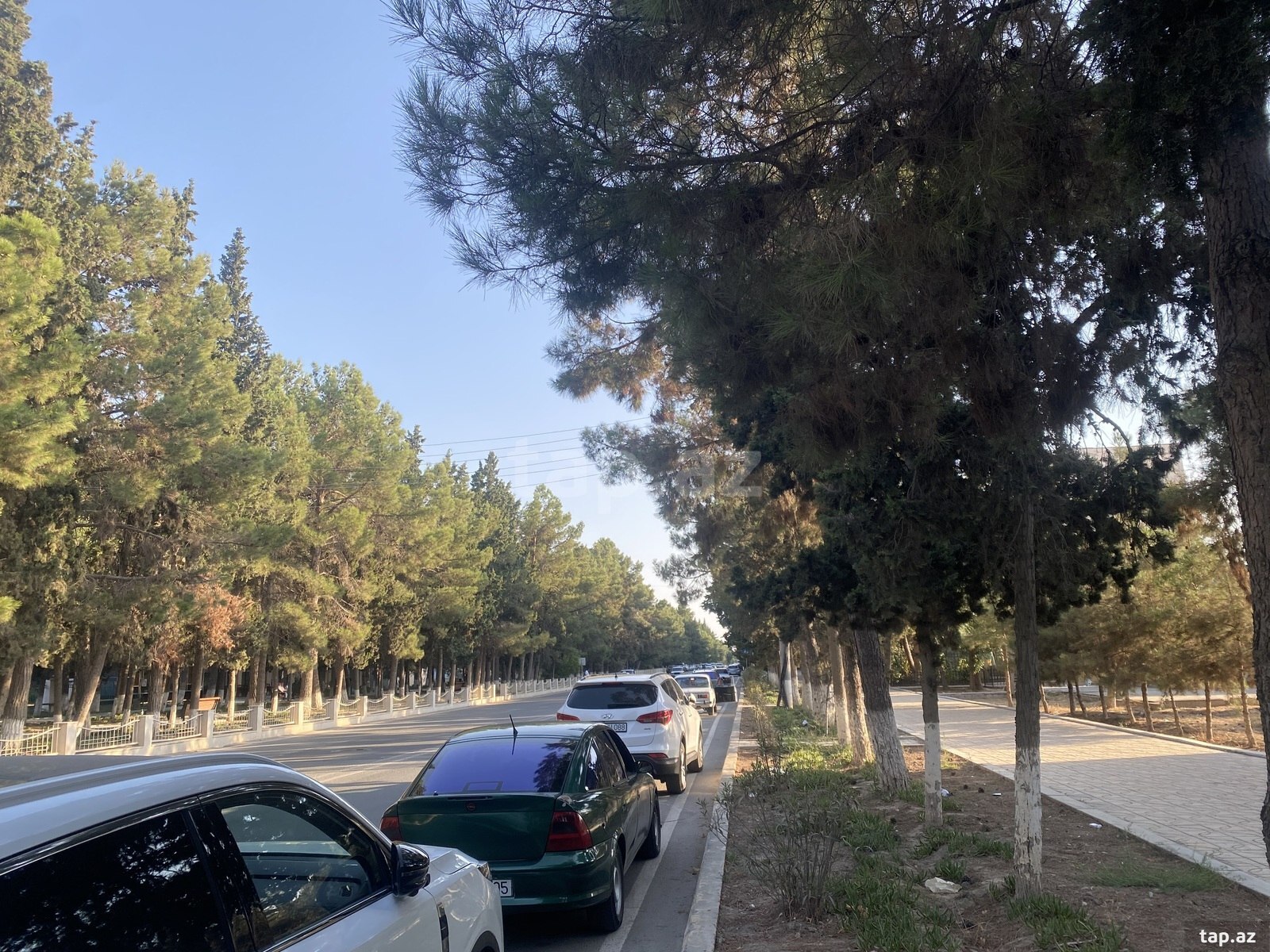 Obyekt icarəyə verilir, Şirvan ş.