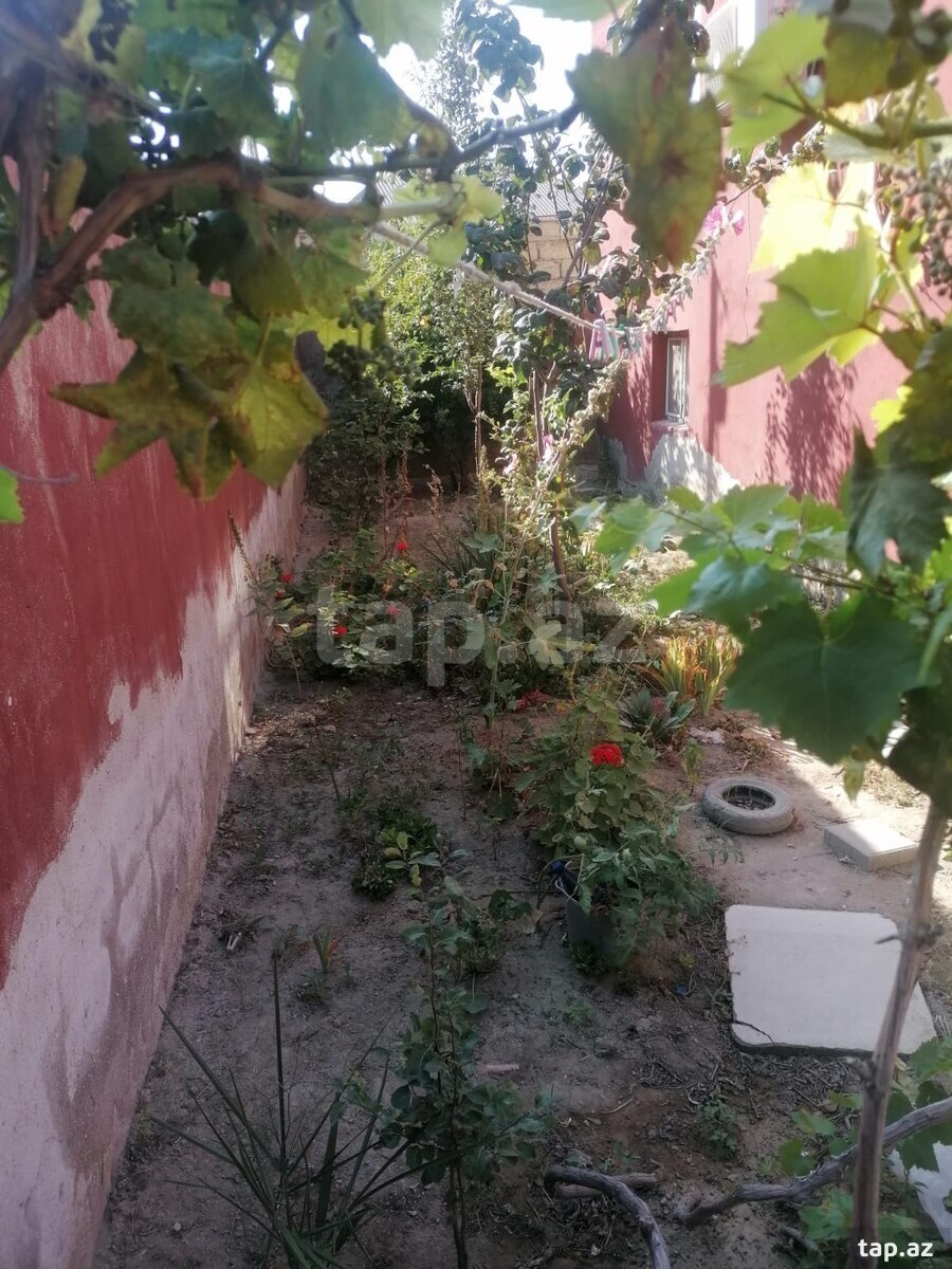 Həyət evi, Sumqayıt ş.