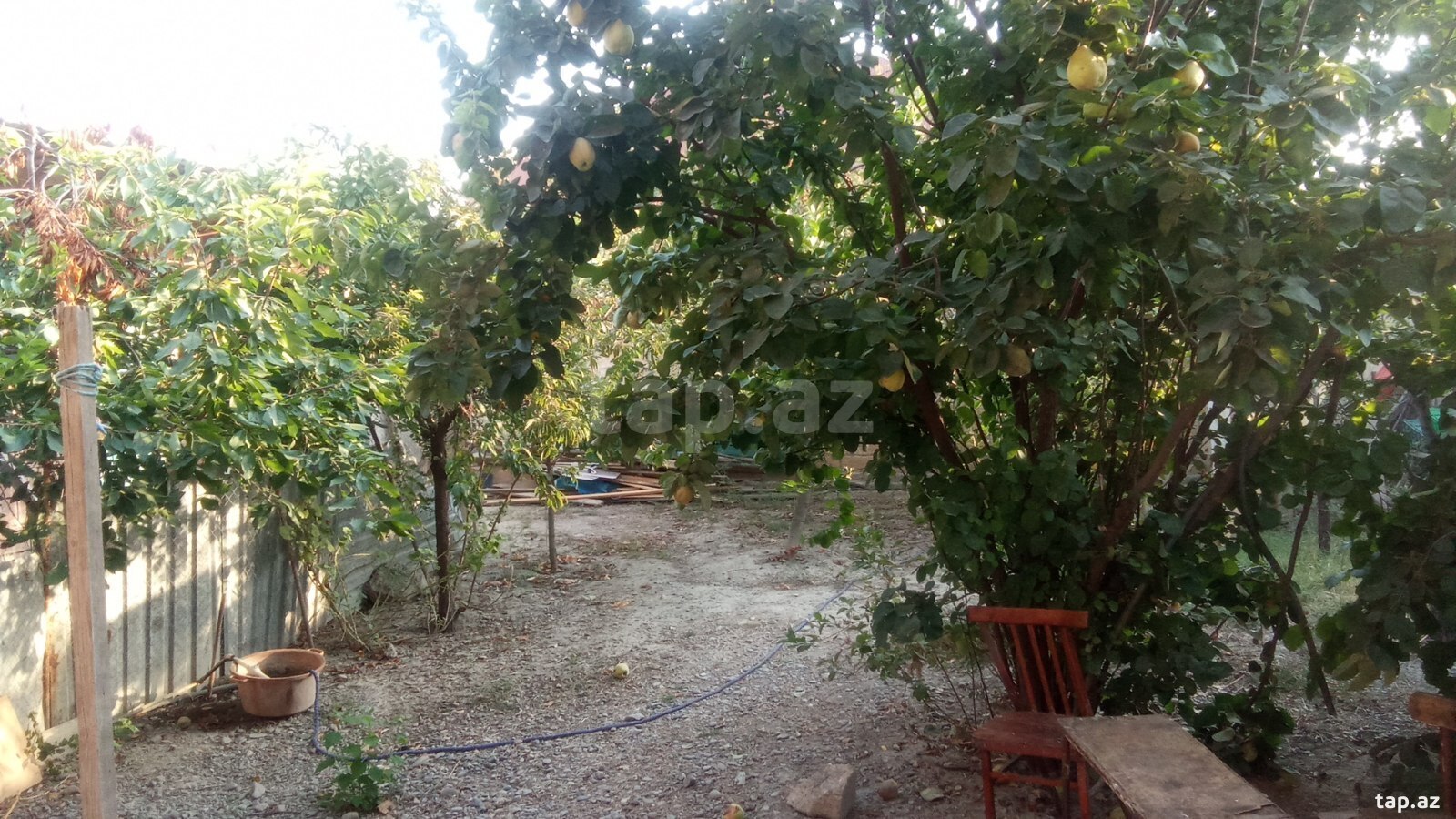 Həyət evi, Mingəçevir ş.