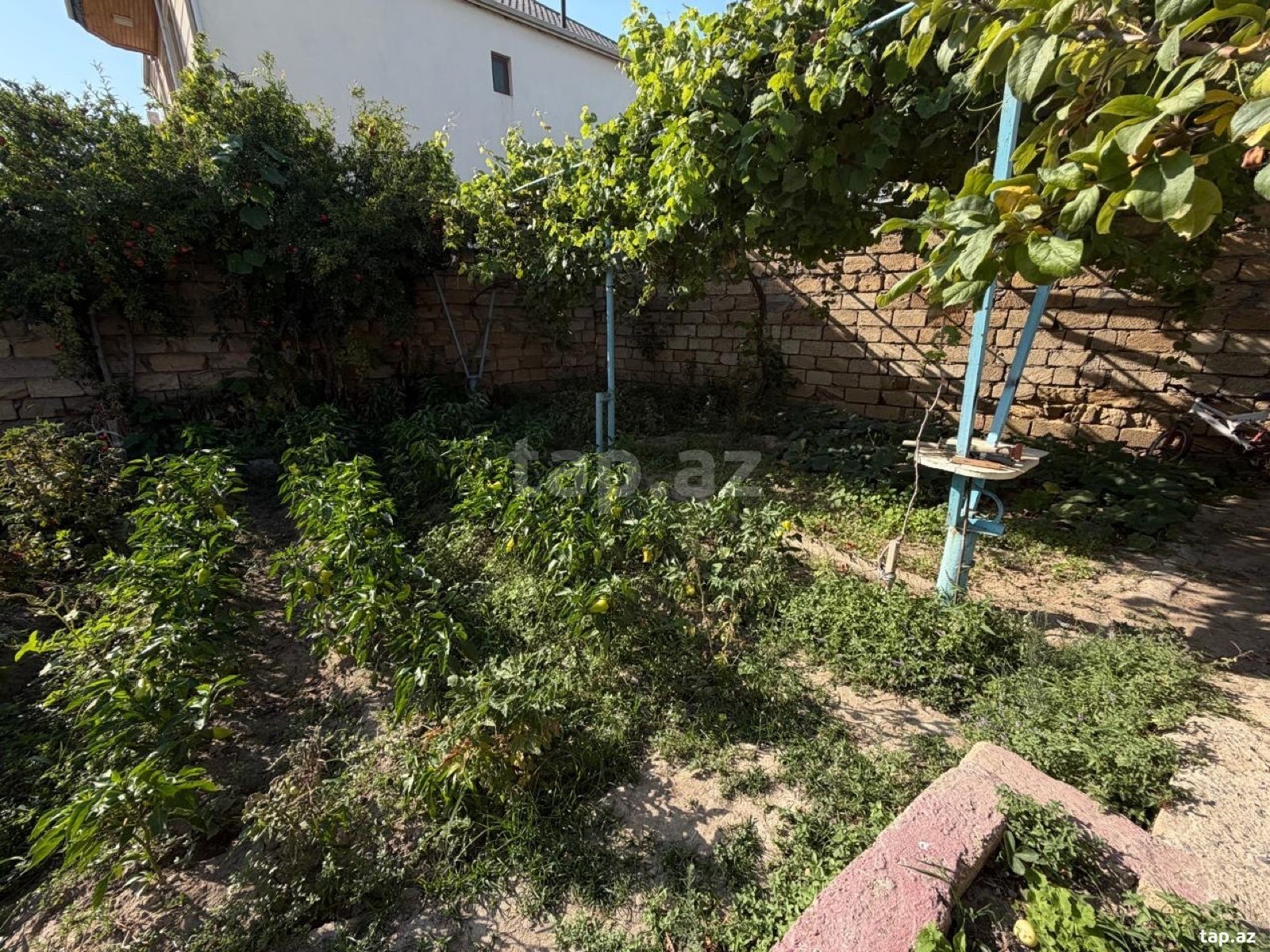 Bağ evi, Corat qəs.