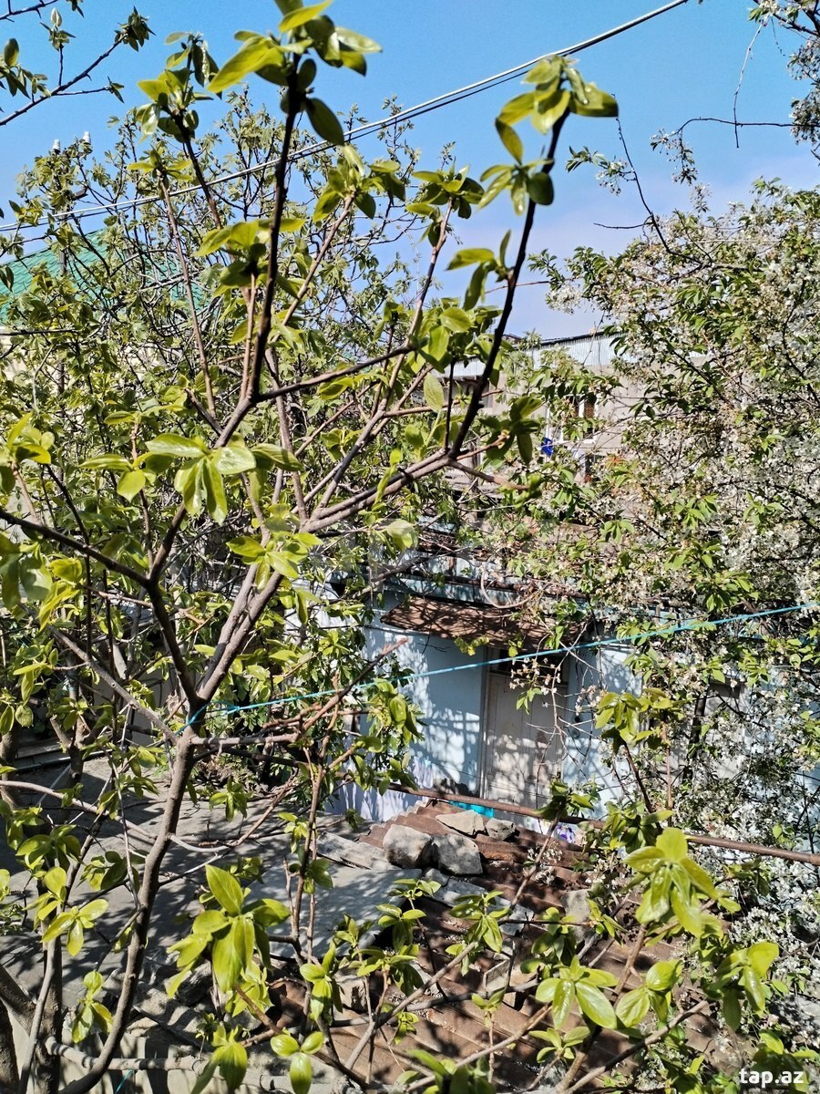 Həyət evi, Nərimanov r.
