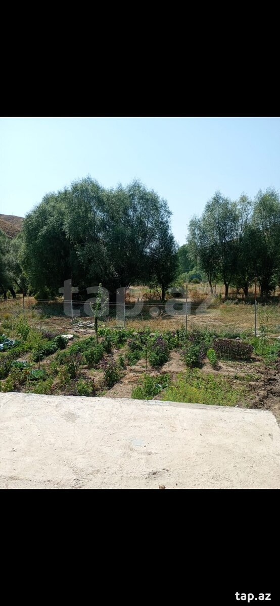 Bağ evi, Naxçıvan ş.