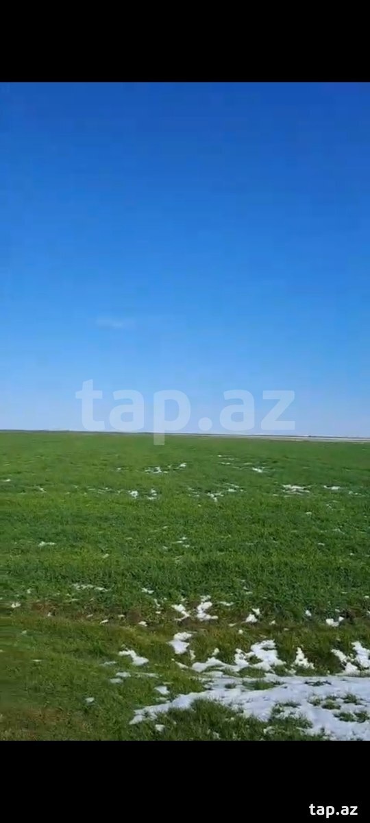 1000 sot torpaq sahəsi, İmişli r.