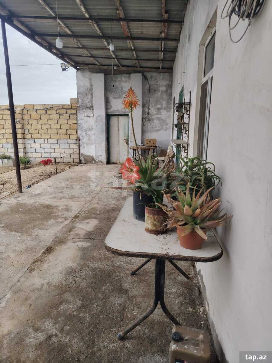 Bağ evi kirayə verilir, Yaşma bağları