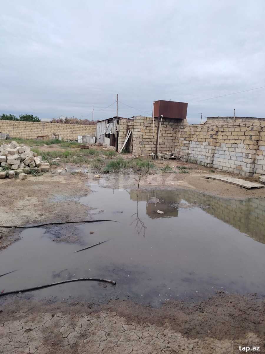 Bağ evi kirayə verilir, Yaşma bağları