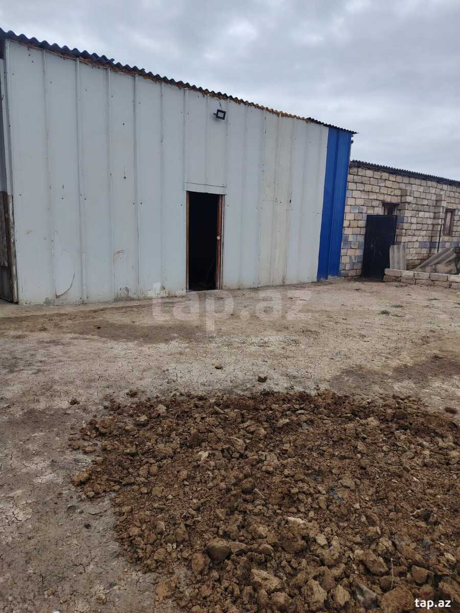 Bağ evi kirayə verilir, Yaşma bağları