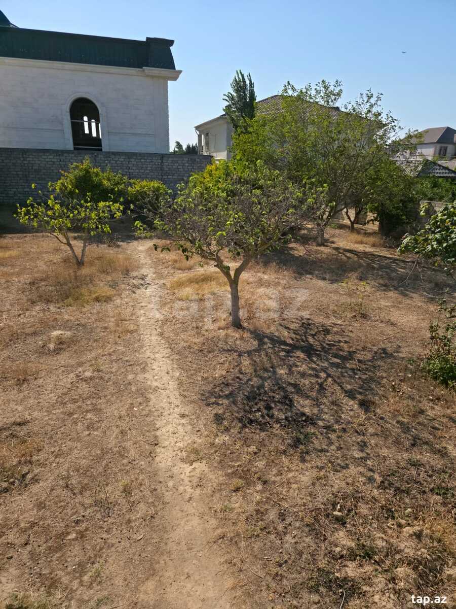 8.4 sot torpaq sahəsi, Buzovna qəs.