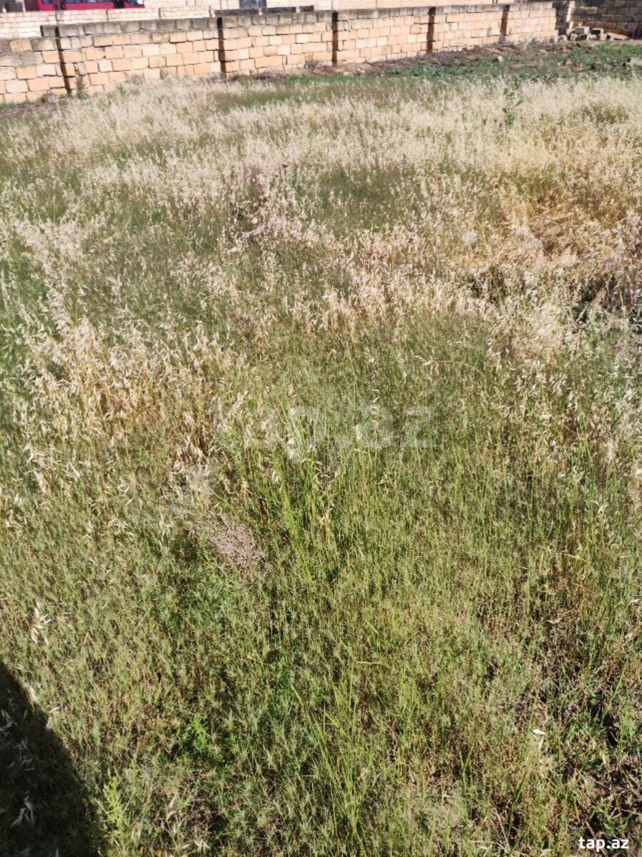 5 sot torpaq sahəsi, Mehdiabad qəs.