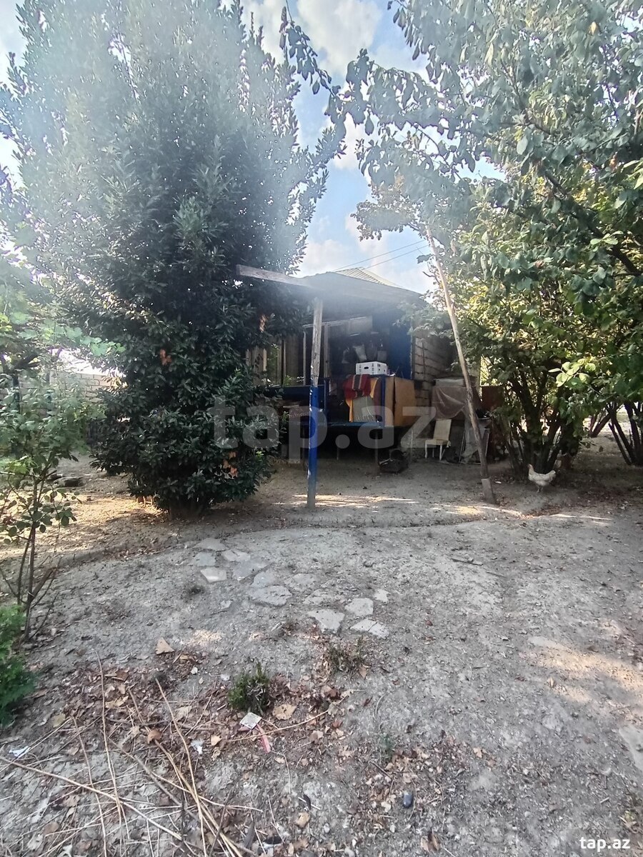 Bağ evi, Mingəçevir ş.