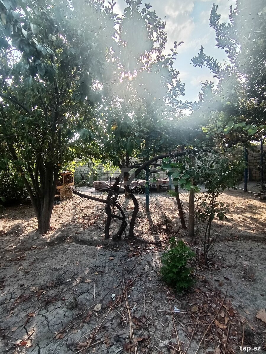Bağ evi, Mingəçevir ş.