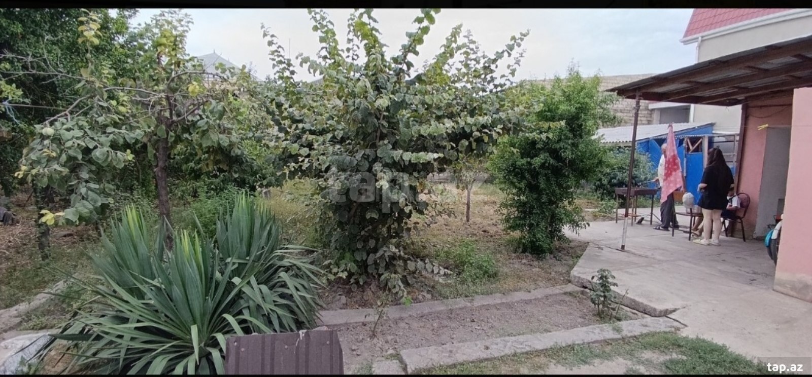 Bağ evi, Xaçmaz r.