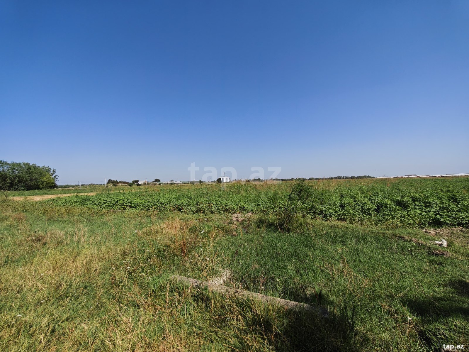 300 sot torpaq sahəsi, Ağcabədi r.