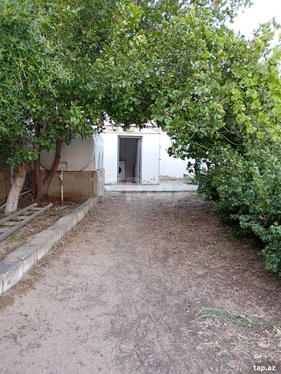 Bağ evi kirayə verilir, Sabunçu r.
