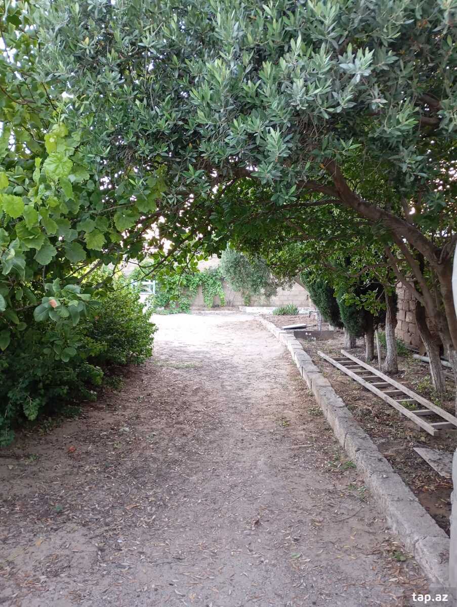 Bağ evi kirayə verilir, Sabunçu r.