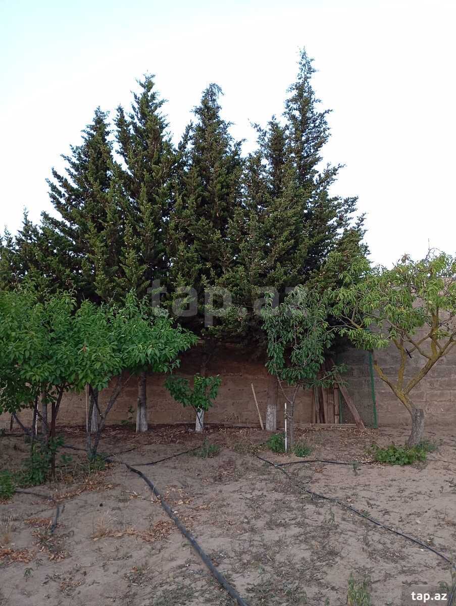 Bağ evi kirayə verilir, Sabunçu r.