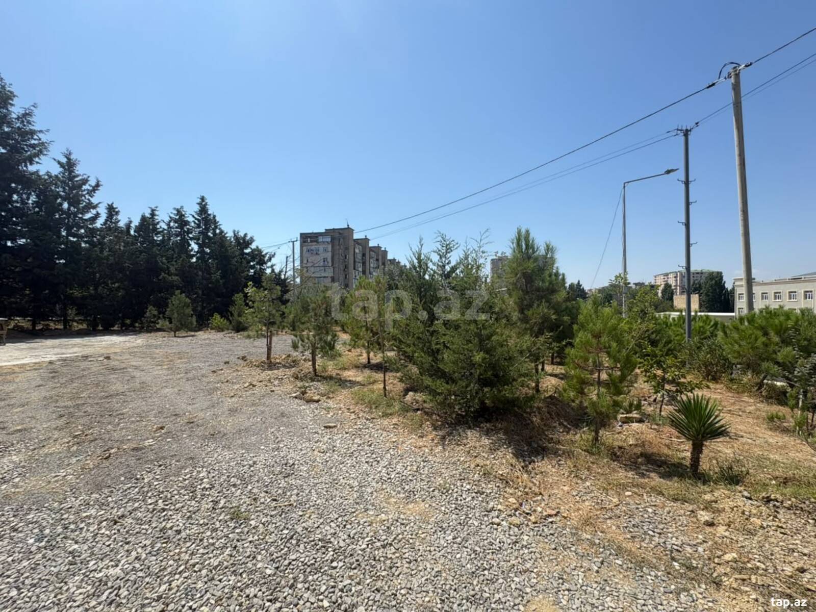 5 sot torpaq sahəsi, Nizami r.
