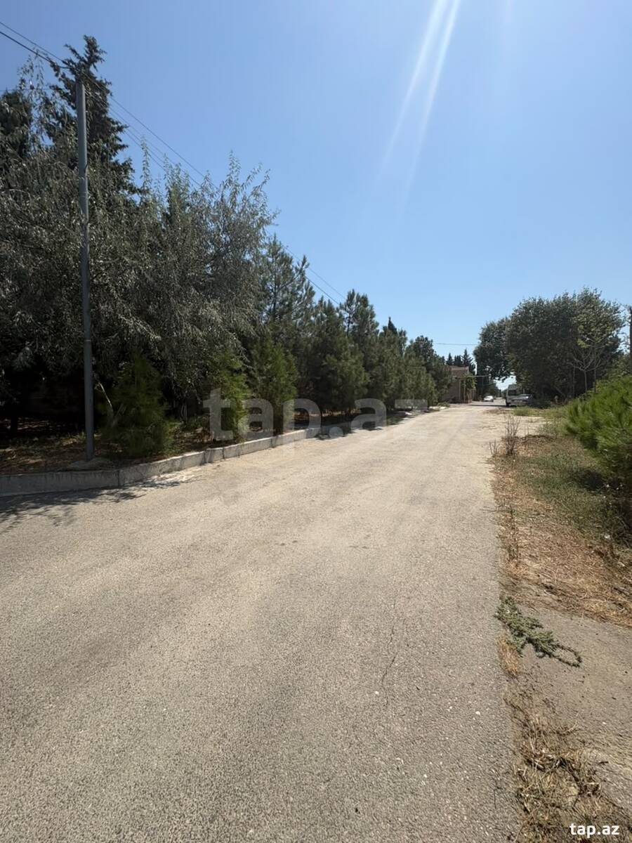 5 sot torpaq sahəsi, Nizami r.