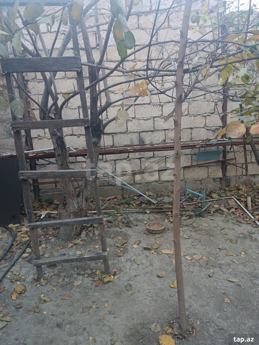 Bağ evi, Mingəçevir r.