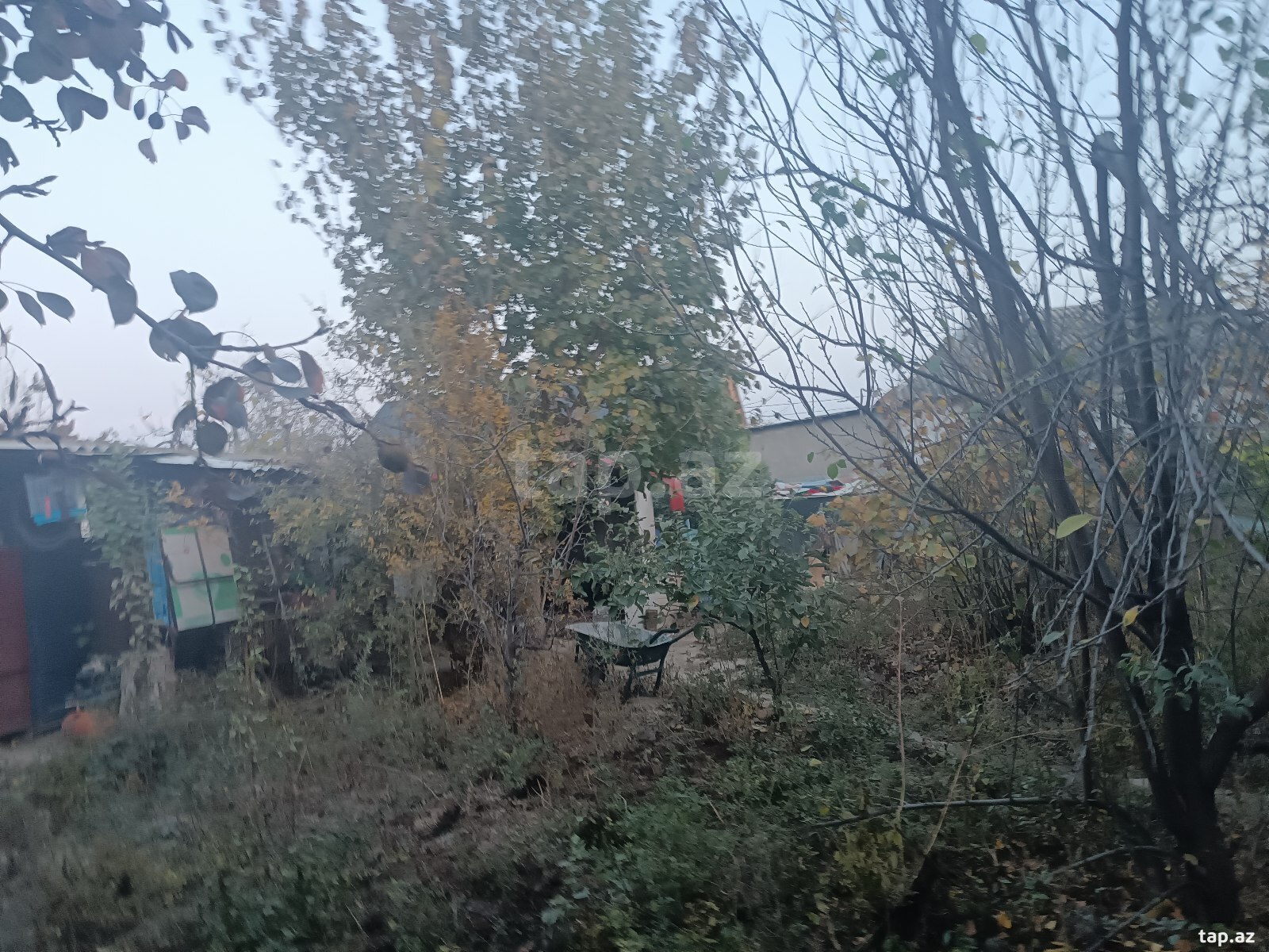 Bağ evi, Mingəçevir r.