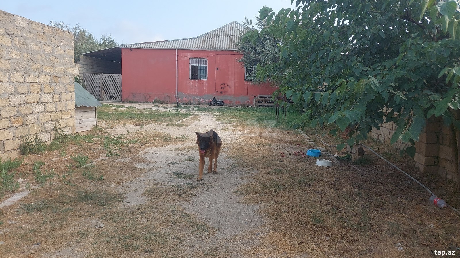 Həyət evi, Pirşağı qəs.