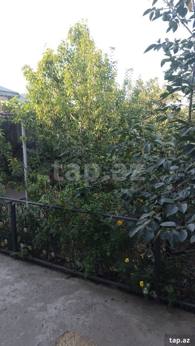 4-otaqlı yeni tikili kirayə verilir, Şamaxı r., 100 m²