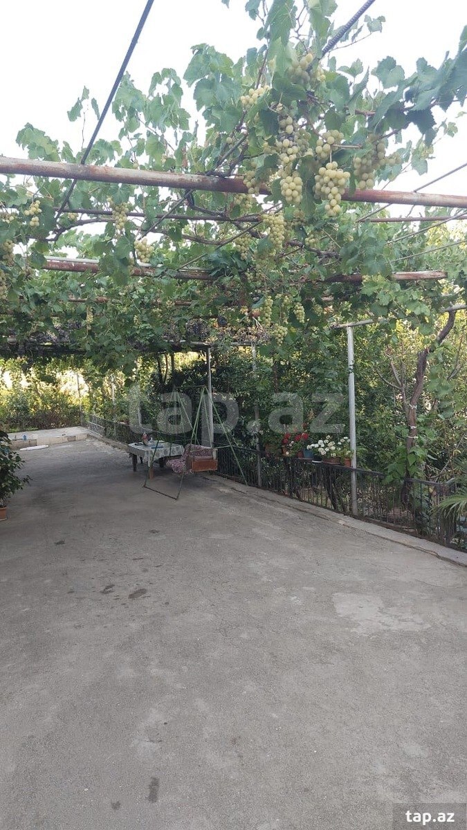 4-otaqlı yeni tikili kirayə verilir, Şamaxı r., 100 m²